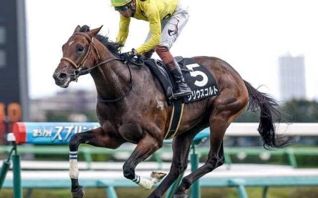 【AI予想・ホープフルS】前走の着順や内容は要チェック！  23年GI最終戦の本命候補は適性十分の精鋭