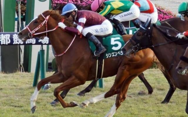 凱旋門賞馬の全弟がGI獲りへ “母の父ガリレオ”の初快挙なるか