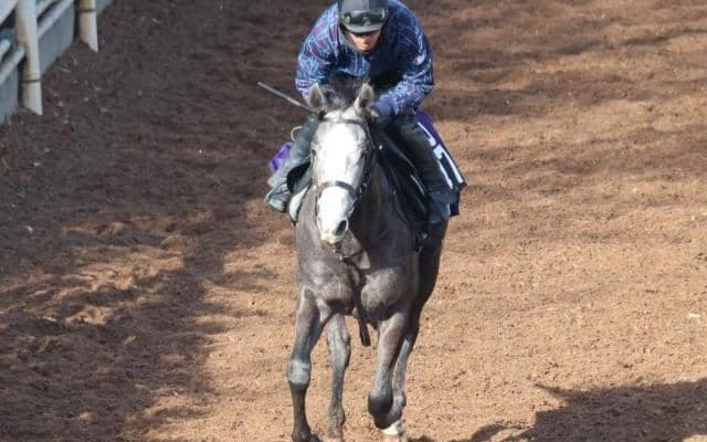 ヤマニンパピオネの2021(ヤマニンアルリフラ)など、先週のゲート試験/栗東トレセンニュース