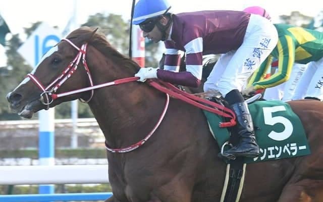 【ホープフルS・調教後馬体重】シンエンペラーは480kg、ゴンバデカーブースは484kg