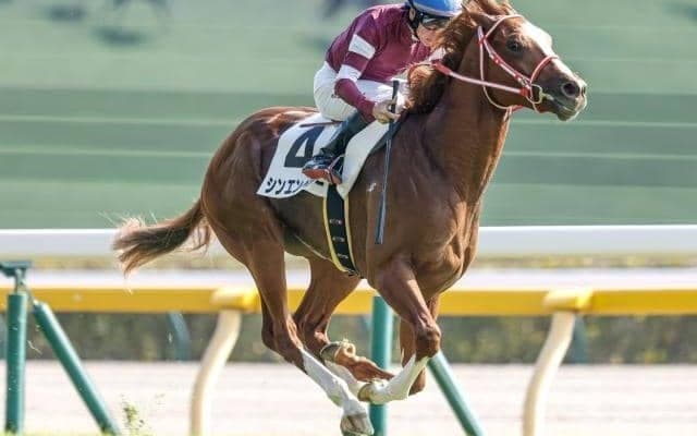 【ホープフルS予想オッズ】シンエンペラーが予想1番人気