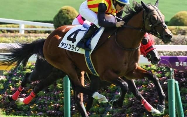 サトノダイヤモンド産駒初のGI制覇へ ホープフルSにタリフライン参戦