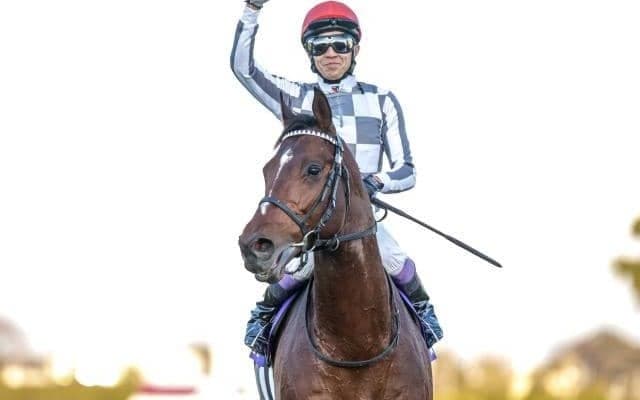 有馬記念は混戦になればなるほど売り上げ増!? ディープインパクト圧勝の年は意外にも…