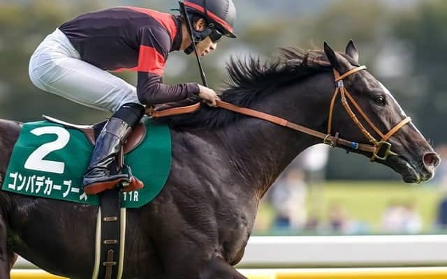 無敗戴冠でクラシックの主役となるか ホープフルSにゴンバデカーブース参戦