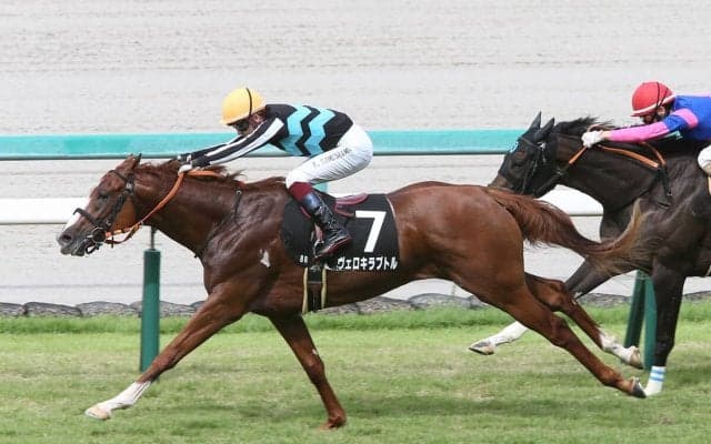GⅠホープフルＳは、有馬記念を制したドウデュースの父・ハーツクライの血を引くスワーヴリチャード産駒に期待