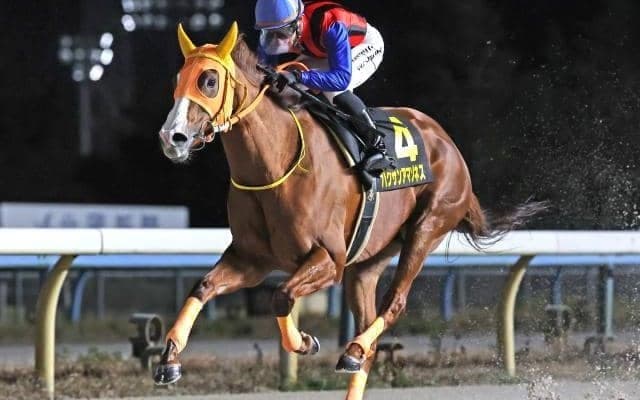 【金沢・金沢ファンセレクトC結果】ハクサンアマゾネス重賞21勝目！ 平地重賞勝利記録で歴代単独1位に