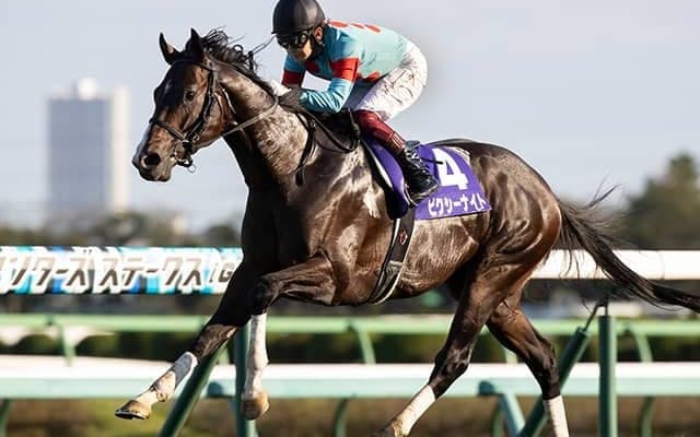 21年スプリンターズS覇者のピクシーナイトが登録抹消 今後はブリーダーズSSで種牡馬入り
