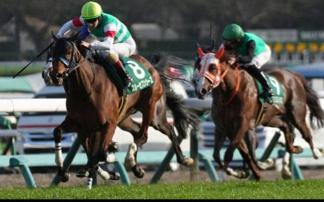スルーセブンシーズが競走馬登録抹消
