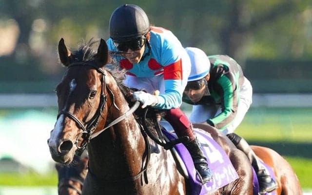 ピクシーナイトが競走馬登録抹消