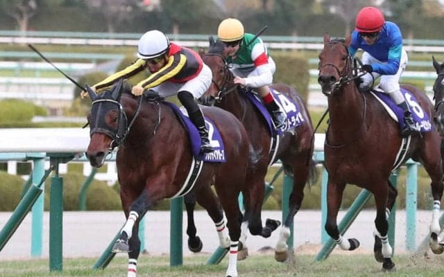 グレナディアガーズが競走馬登録抹消