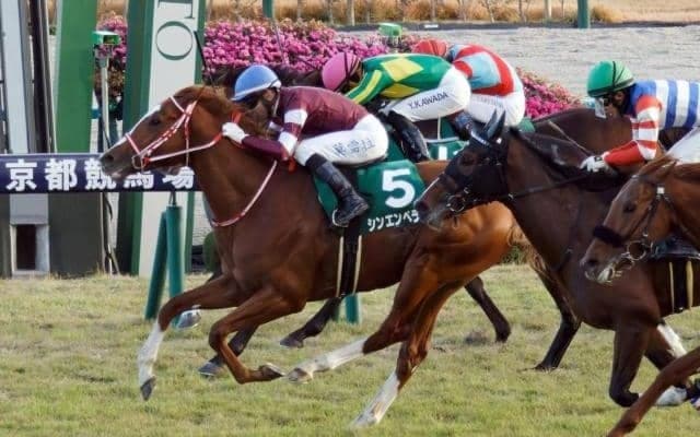 【AI予想・ホープフルS】頼れる鞍上を味方にビッグタイトルを掴む！ 世界的良血馬のGI制覇に期待