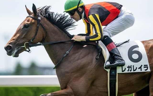 良血牝馬が狙う史上初の快挙とは？ ホープフルSで強豪牡馬撃破なるか