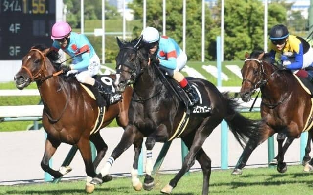 【中山金杯想定馬・騎手】エピファニー、マイネルファンロンなど24頭