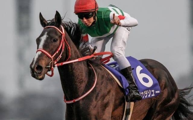 GI・4勝リスグラシューの全弟 エボルヴィングが阪神5Rで初陣