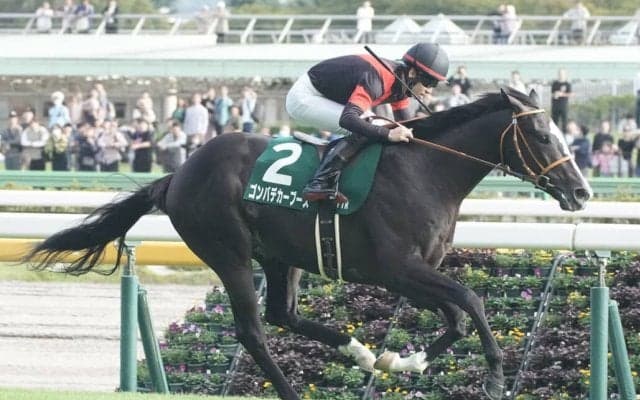 【ホープフルS】2連勝ゴンバデカーブースは1枠1番へ