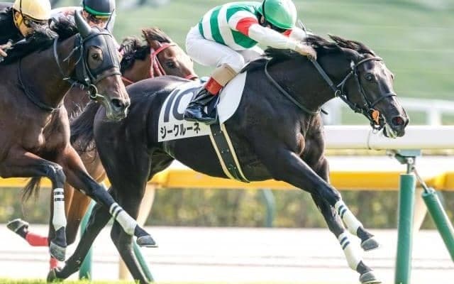 【フェアリーS想定馬・騎手】ジークルーネ、スティールブルーなど14頭