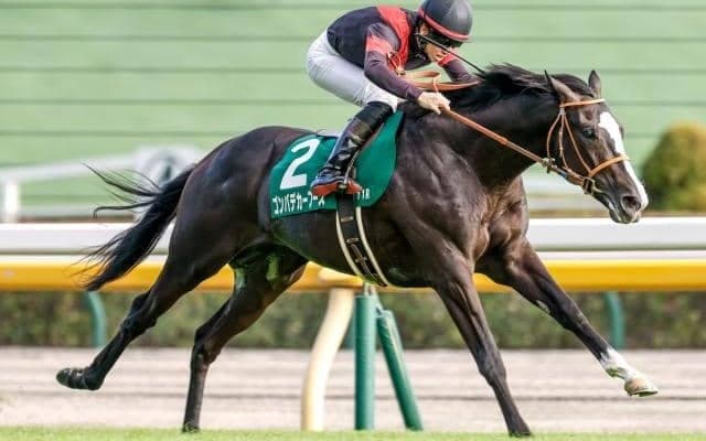 【今日の注目ポイント】中山で2歳の中距離王者決定戦・ホープフルS