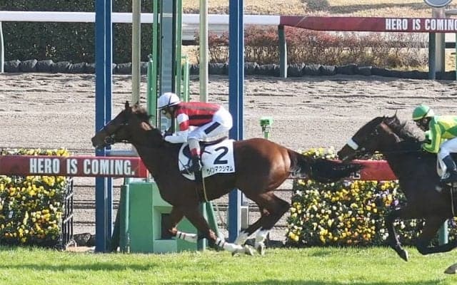 ホープフルＳは再び大荒れ!?　穴党記者のオススメは２勝馬の陰に隠れた人気薄の評判馬２頭