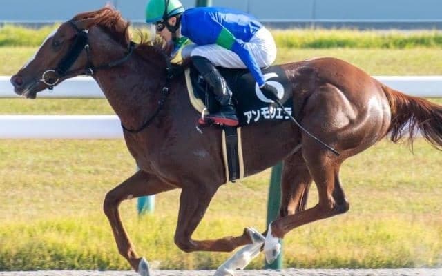 JRA所属女性騎手がGIで初対決 今村聖奈騎手VS藤田菜七子騎手