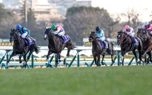 【ホープフルS予想】狙って面白いのは8番人気馬？ 過去10年データで探るホープフルS