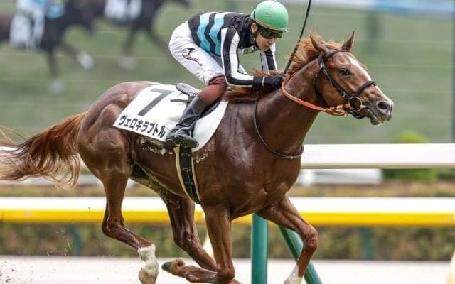 中山芝は依然として内＆前有利 ホープフルSはヴェロキラプトル＆アドミラルシップに妙味あり