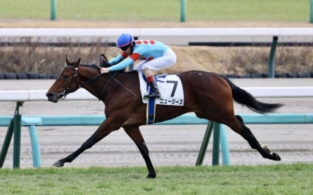 【新馬/中山5R】ミッキークイーン半弟、ニュージーズが5馬身差圧勝