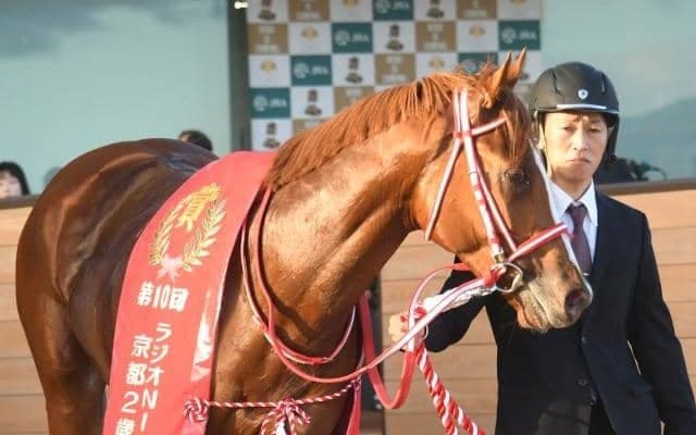 【ホープフルS・馬体重】シンエンペラーは482kg(+2)、レガレイラは454kg(-2)
