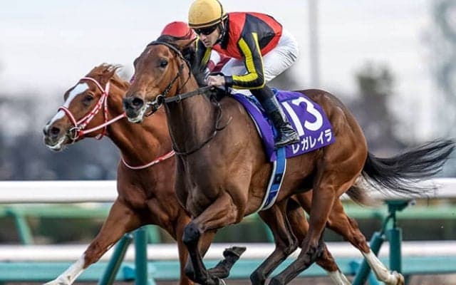 粗品はホープフルSで「54万負けたぁ…」「億万長者になる予定やってんけどな」と肩落とす