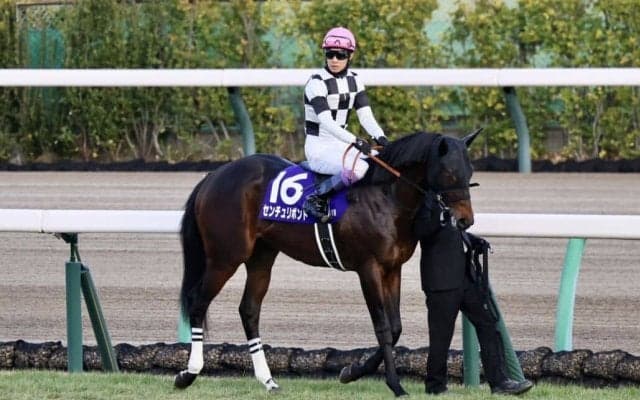 【ホープフルS】武豊「幼いところが出た」今年もG1完全制覇ならず…レース後ジョッキーコメント
