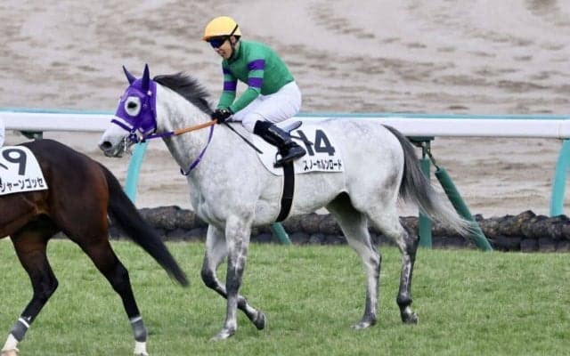 柴山雄一騎手、ラスト騎乗は6着…現役を引退