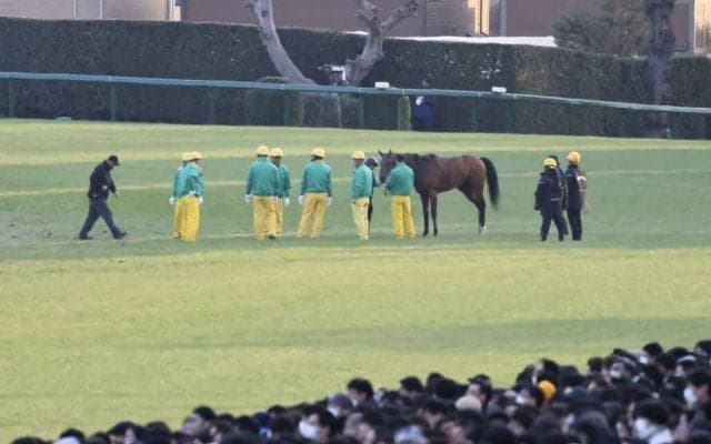 【ホープフルS】タリフラインは直線入口で競走中止…予後不良