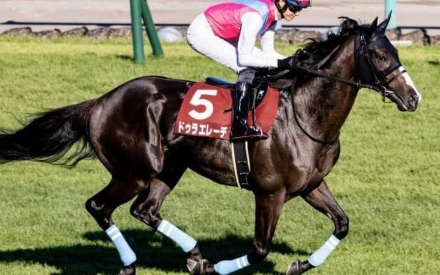 霜降り明星・粗品が東京大賞典で勝負 「今後レモンポップを脅かすのはこの馬」と自信の◎