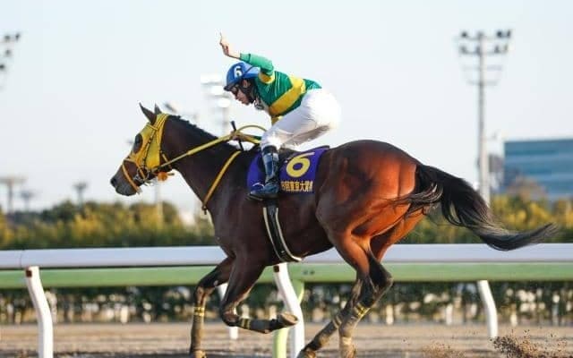 【東京大賞典注目馬】2023年最後の大一番 精鋭9頭によるダート王者決定戦