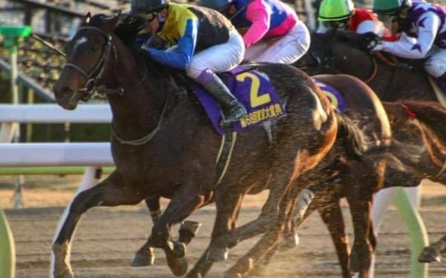 有馬記念に続いて武豊騎手が主役 東京大賞典12年ぶり6勝目狙う