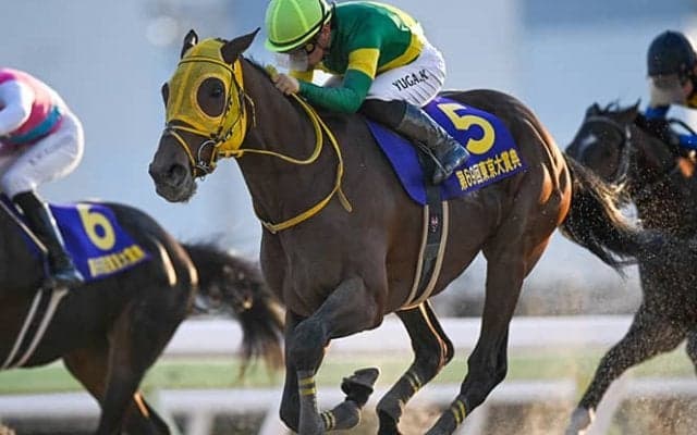 霜降り明星・粗品「今年最後も負けたか。金あらへん」 東京大賞典は3連単勝負もハズレ