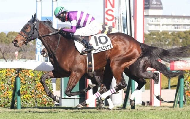 【新馬/阪神5R】サトノダイヤモンド産駒 オーロラエックスが人気に応える