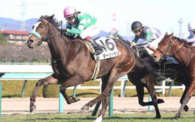 【新馬/阪神6R】河原田菜々騎乗、マーシーランがデビューV