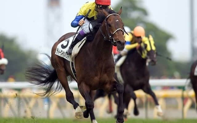 【BMSリーディング】重賞13勝を挙げたディープインパクトが首位に