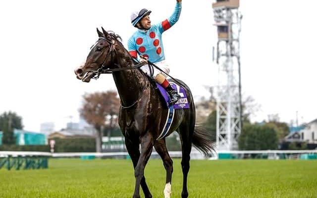 【生産者リーディング】GI・17勝を挙げたノーザンファームが13年連続の1位に