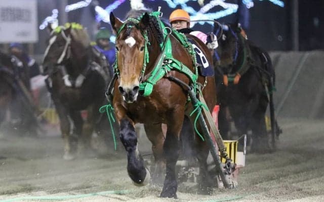 【ばんえい・ヤングチャンピオンシップ】ライジンサン勝利で大河原調教師は重賞初制覇