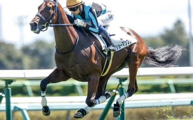 【AI予想・シンザン記念】近況好調馬が強さを見せる3歳限定重賞！ 本命候補は高いポテンシャルを秘める重賞初出走馬