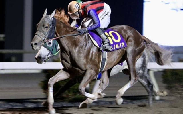 【高知県知事賞】三冠馬ユメノホノオが快進撃で11連勝…吉原「高知けいばを盛り上げてくれた」
