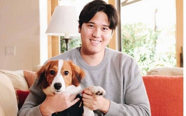 おでこにキス…大谷翔平、デコピンとの戯れが大反響　わずか6週間で驚愕の800万再生