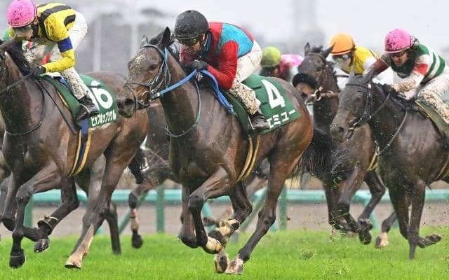 【中山金杯見どころ】牝馬三冠皆勤のエミューが重賞2勝目を狙う