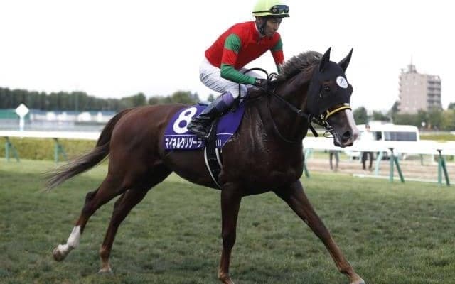 中山金杯想定騎手24頭 マイネルクリソーラはM.デムーロ騎手、ゴールデンハインドは菅原明良騎手