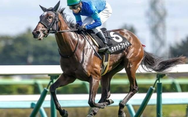 フェアリーS想定騎手18頭 キャットファイトは坂井瑠星騎手、スティールブルーはC.ルメール騎手