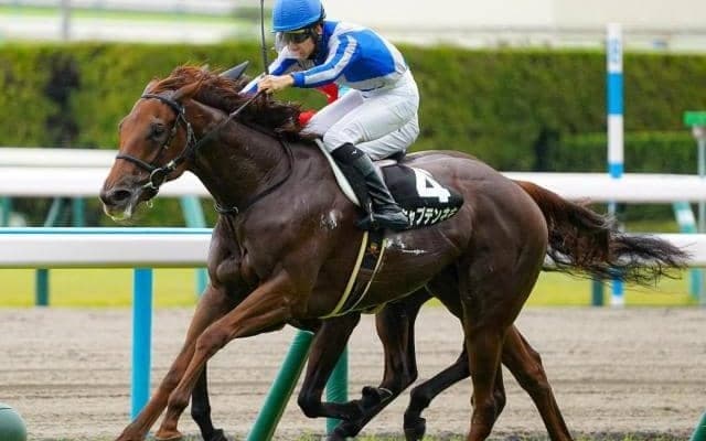 昨年リーディングの杉山晴紀厩舎 フェアリーSで新年早速の重賞V狙う