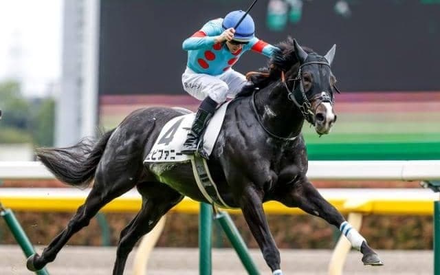 【中山金杯展望】JRA重賞戦線の幕開け、GI戦線で活躍する馬も輩出