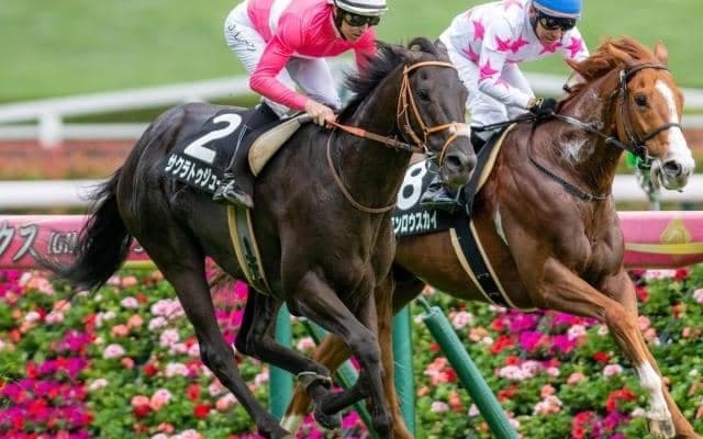 豪州のトップ女性ジョッキー・R.キング騎手 中山金杯でJRA重賞初制覇なるか