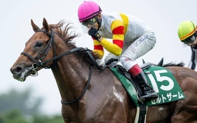 出走メンバーで唯一の重賞ウイナー ゼルトザームがシンザン記念で意地を見せるか